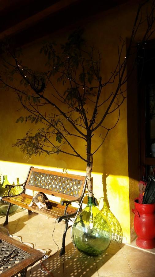 La Cascina Di Alice Bed & Breakfast Castiglione Delle Stiviere Luaran gambar