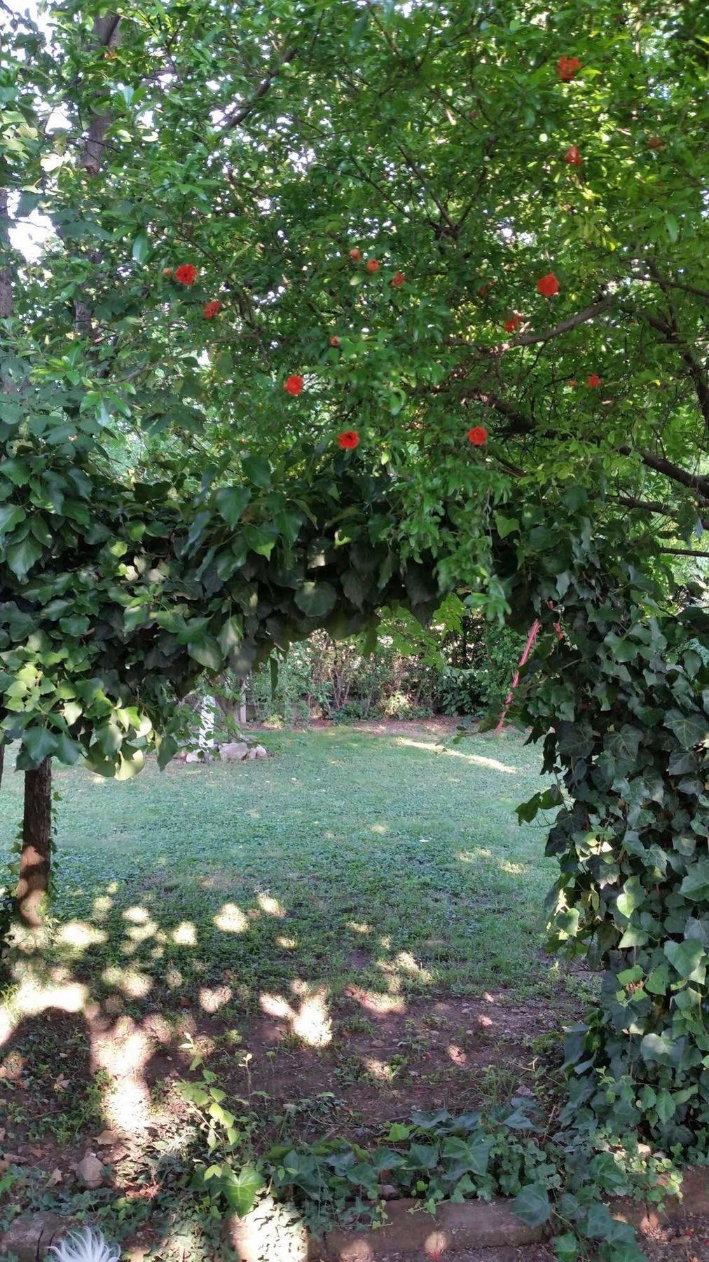 La Cascina Di Alice Bed & Breakfast Castiglione Delle Stiviere Luaran gambar